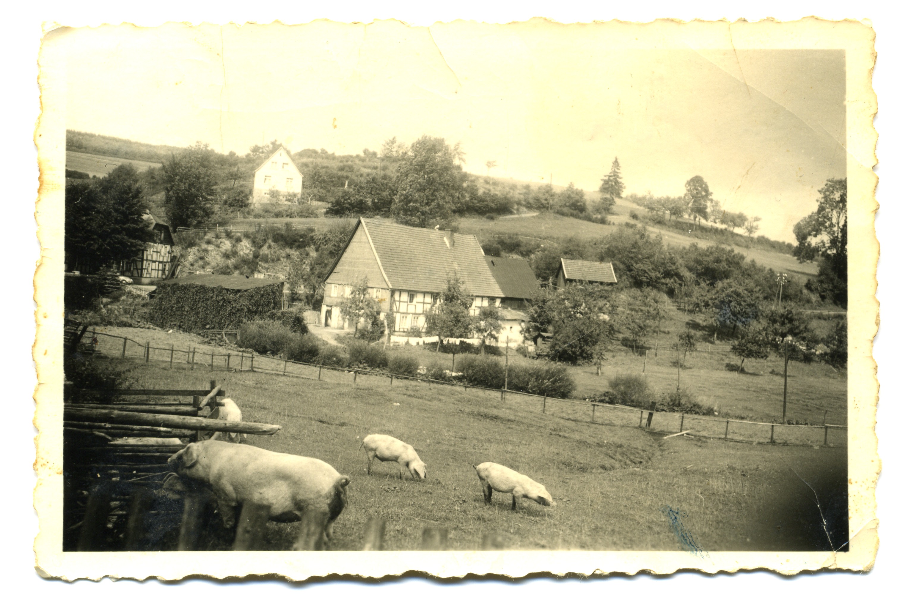 1952 Wiggers alte Haus im Loch 03