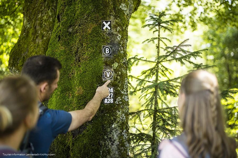 Mann zeigt einer Gruppe von Wanderern das Symbol des Veischeder Sonnenpfades, das an einem Baum befestigt ist