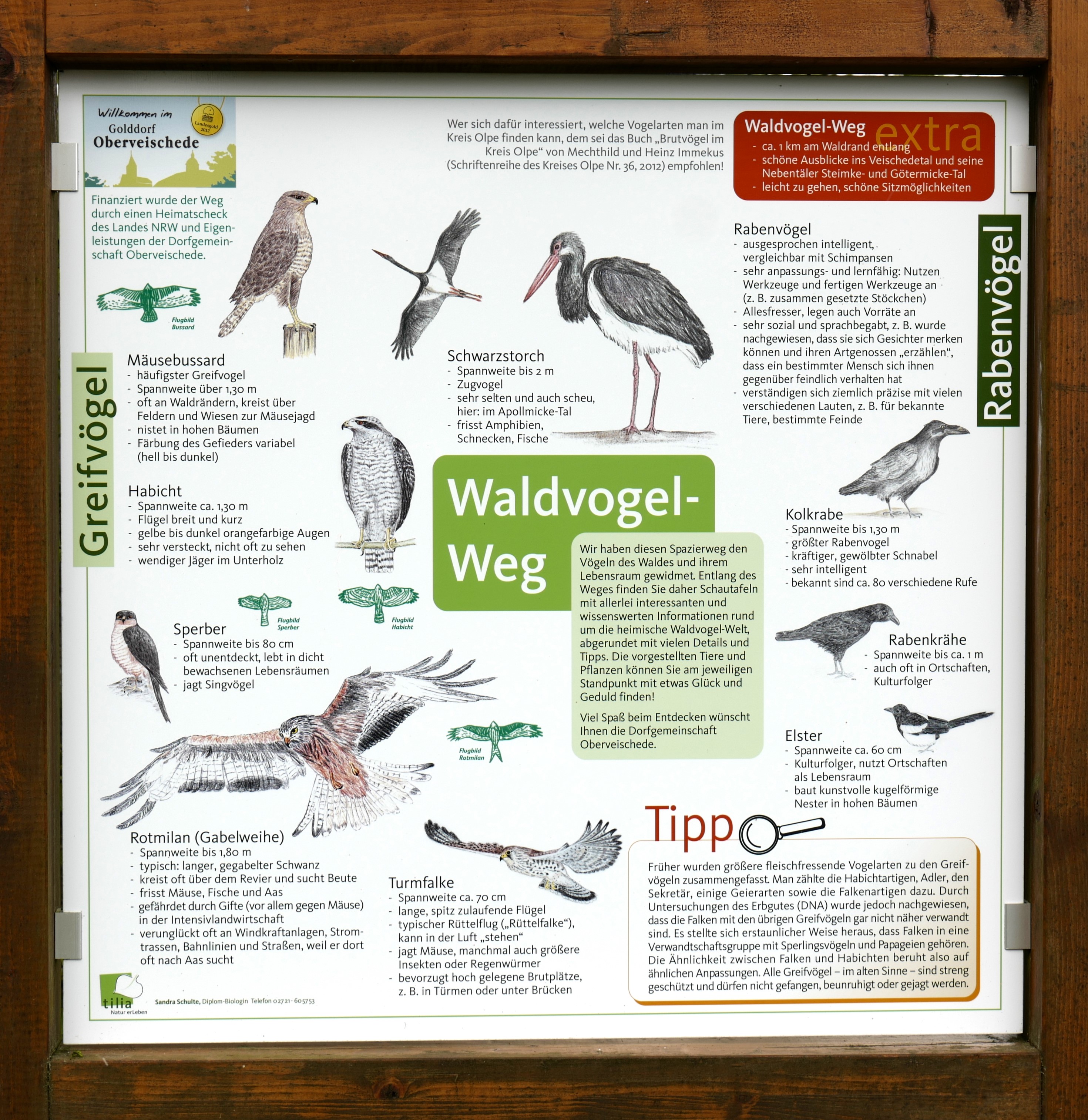 Schild am Beginn des Waldvogelwegs mit typischen Vogelarten