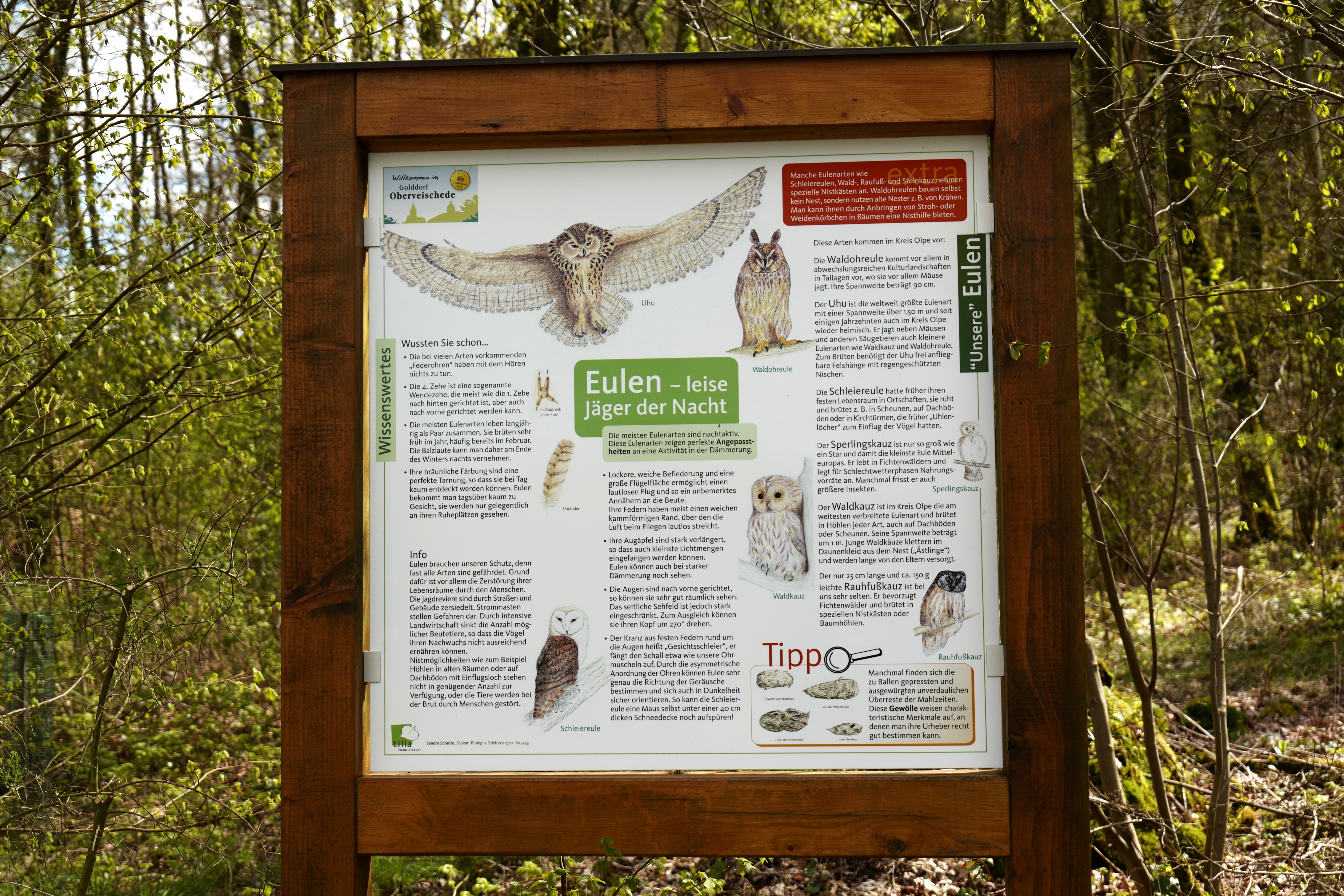Wegweiser zum Thema Eulen auf dem Waldvogelweg