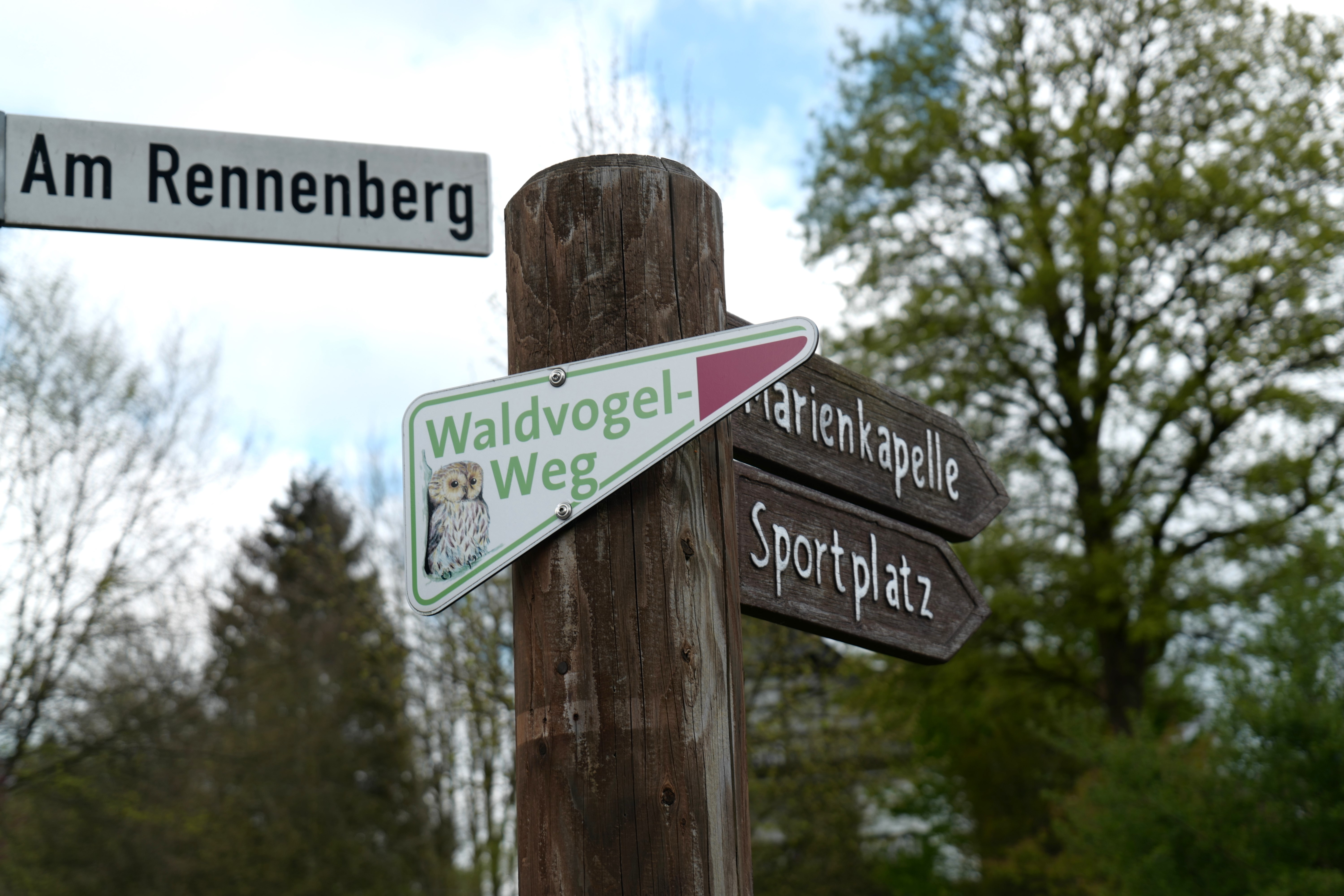Der Waldvogelweg wird bereits am Fuß des Rennenbergs ausgeschildert.